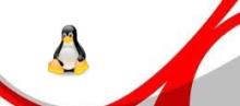 Immagine introduttiva Adobe Reader e Linux